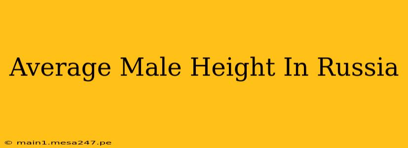 Average Male Height In Russia