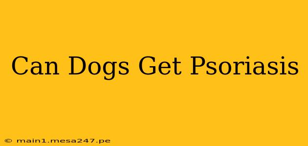 Can Dogs Get Psoriasis