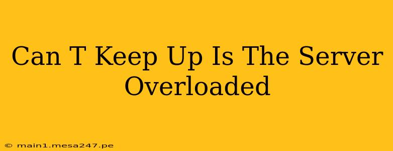 Can T Keep Up Is The Server Overloaded