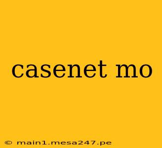 casenet mo