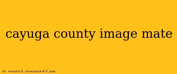 cayuga county image mate