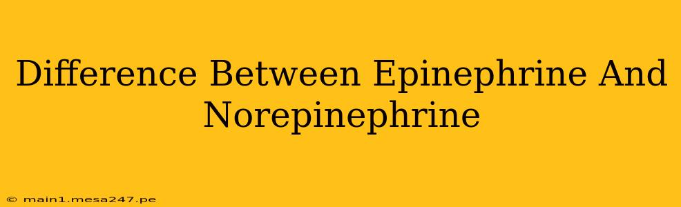 Difference Between Epinephrine And Norepinephrine
