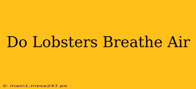 Do Lobsters Breathe Air