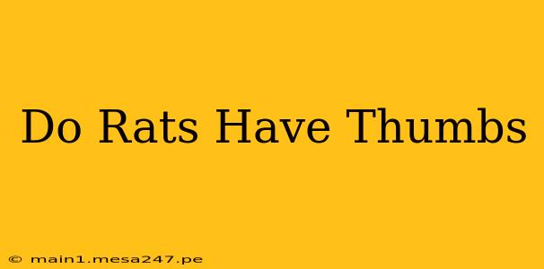 Do Rats Have Thumbs