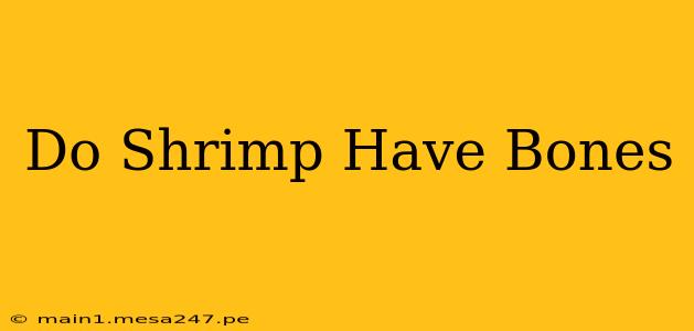 Do Shrimp Have Bones