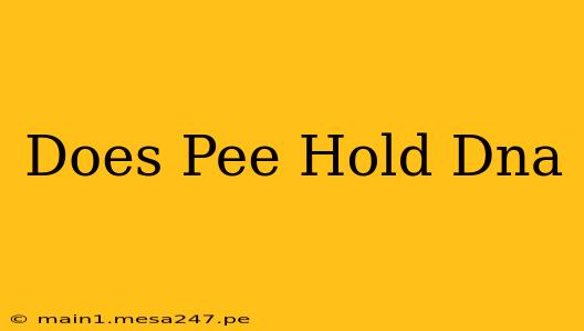Does Pee Hold Dna