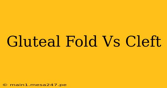 Gluteal Fold Vs Cleft