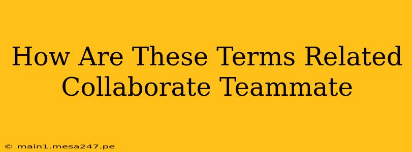 How Are These Terms Related Collaborate Teammate