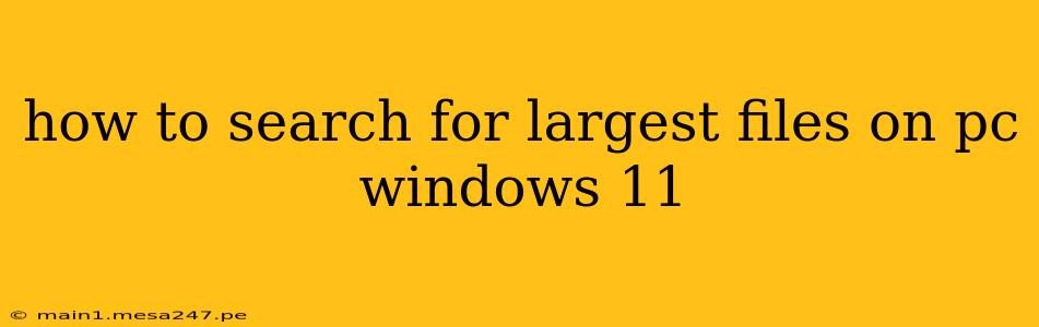 how to search for largest files on pc windows 11