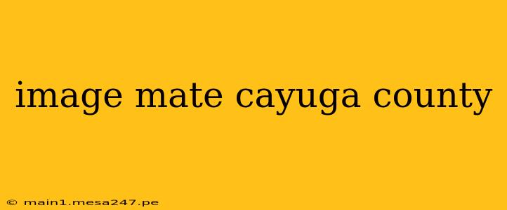 image mate cayuga county