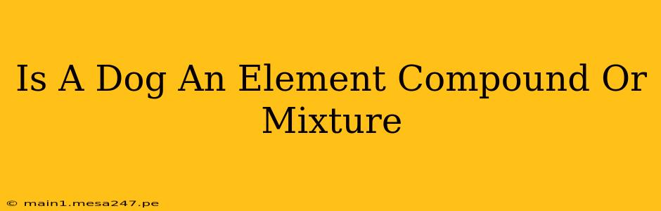 Is A Dog An Element Compound Or Mixture