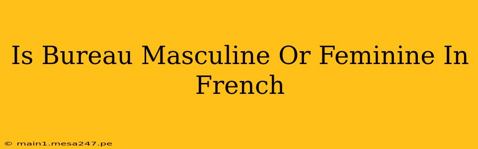 Is Bureau Masculine Or Feminine In French