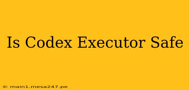 Is Codex Executor Safe