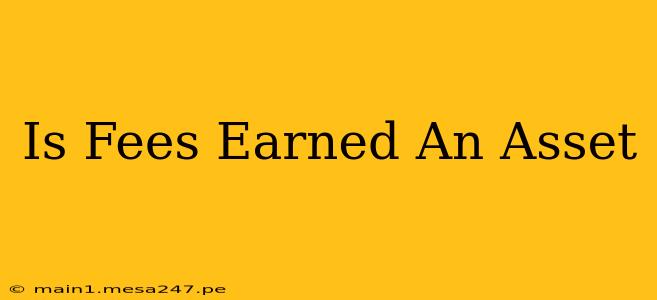 Is Fees Earned An Asset