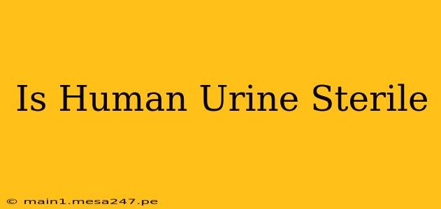 Is Human Urine Sterile