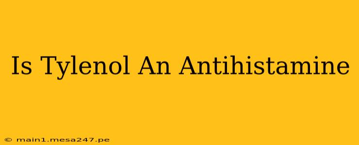 Is Tylenol An Antihistamine