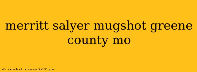 merritt salyer mugshot greene county mo