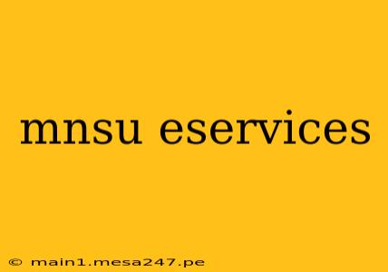 mnsu eservices