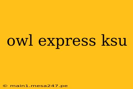 owl express ksu