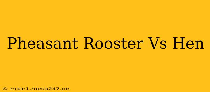 Pheasant Rooster Vs Hen
