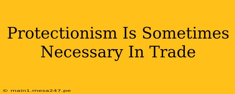 Protectionism Is Sometimes Necessary In Trade