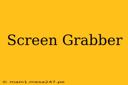 Screen Grabber