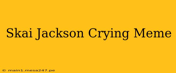 Skai Jackson Crying Meme
