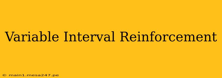 Variable Interval Reinforcement