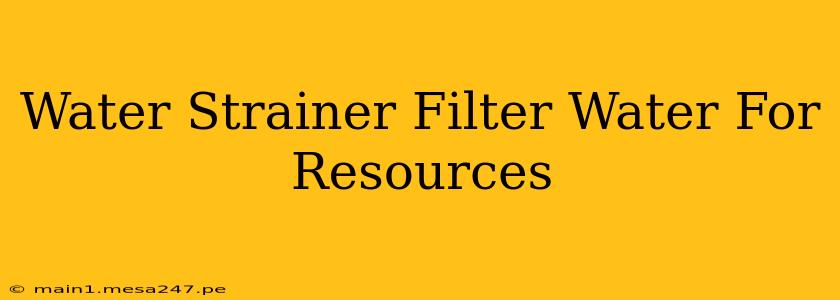 Water Strainer Filter Water For Resources