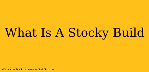 What Is A Stocky Build