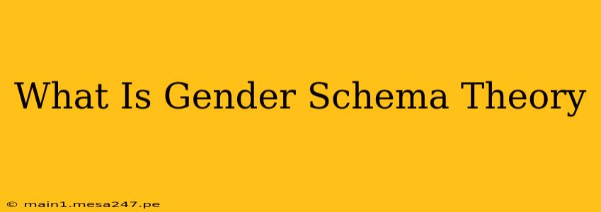 What Is Gender Schema Theory