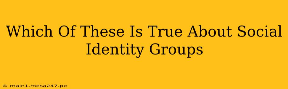 Which Of These Is True About Social Identity Groups