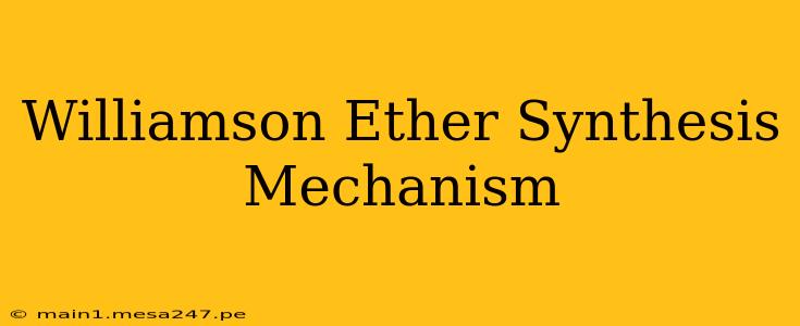 Williamson Ether Synthesis Mechanism